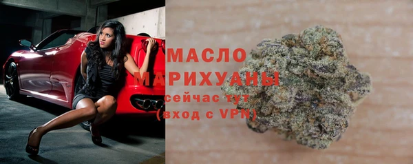 тгк Дмитриев
