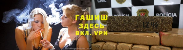 тгк Дмитриев