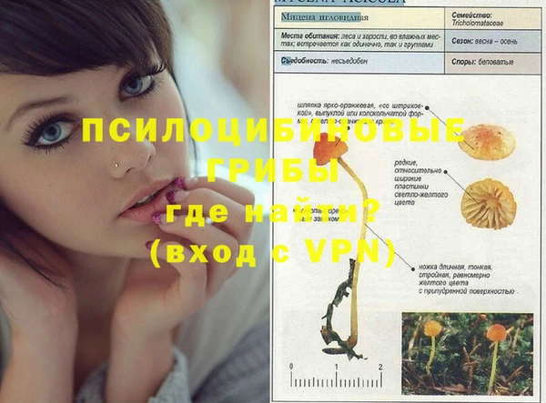 тгк Дмитриев