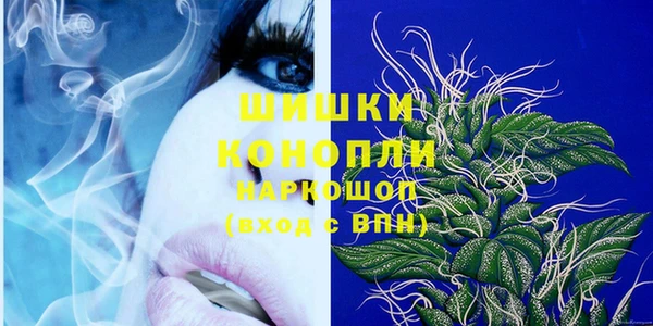 тгк Дмитриев