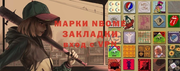 тгк Дмитриев