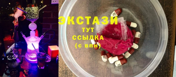тгк Дмитриев