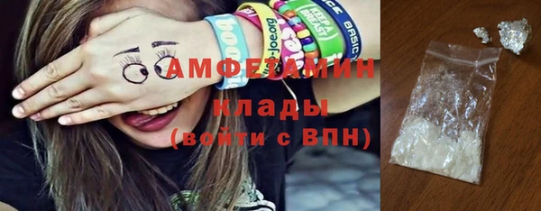 тгк Дмитриев