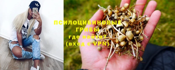 тгк Дмитриев