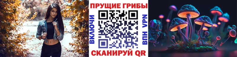 Купить где  Хадыженск  Галлюциногенные грибы MAGIC MUSHROOMS 